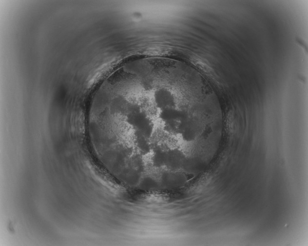 X0000100850303200806201221