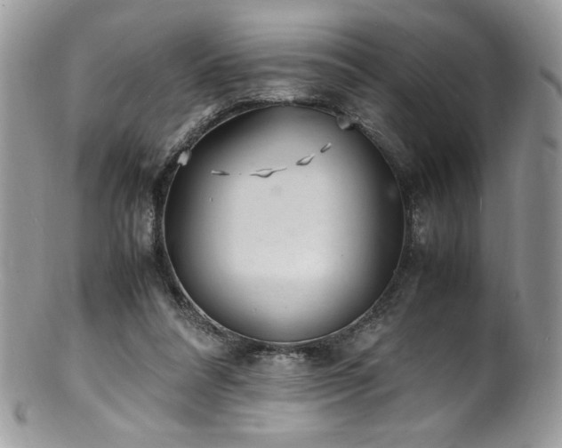 X0000100850304200806201221