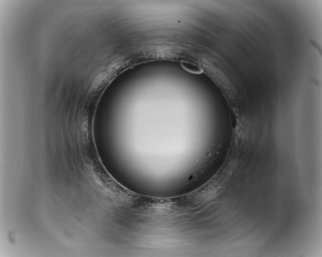 X0000100850306200806201221