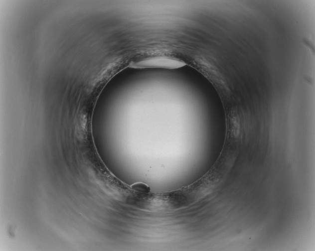 X0000100850308200806201220