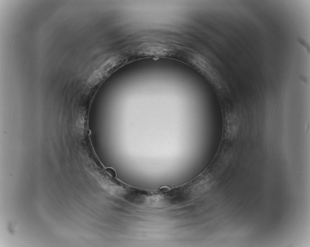 X0000100850309200806201220