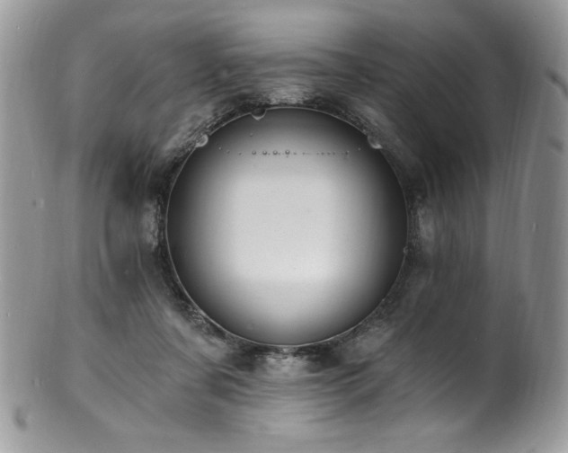 X0000100850311200806201220