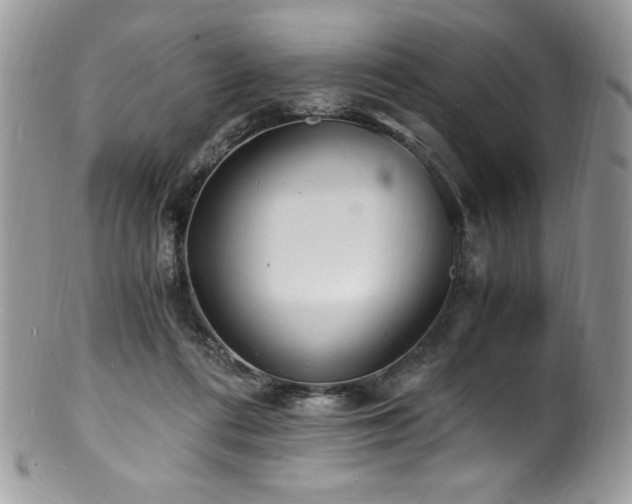 X0000100850312200806201220