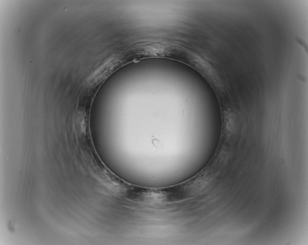 X0000100850313200806201220