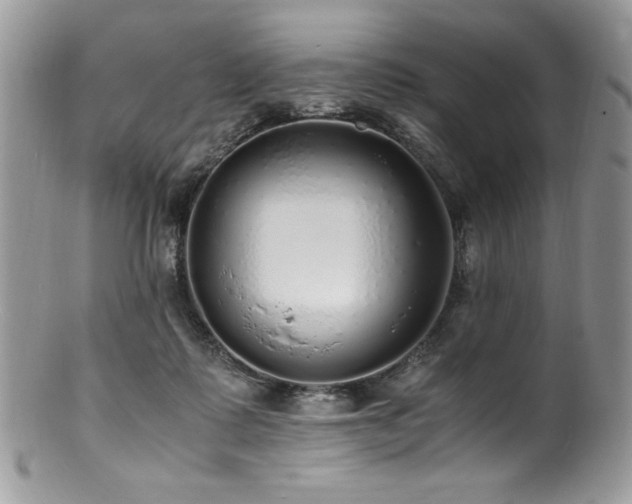 X0000100850315200806201220