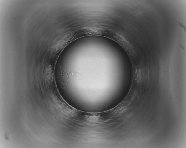 X0000100850318200806201220