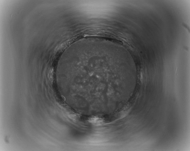 X0000100850319200806201220
