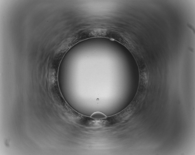 X0000100850323200806201220
