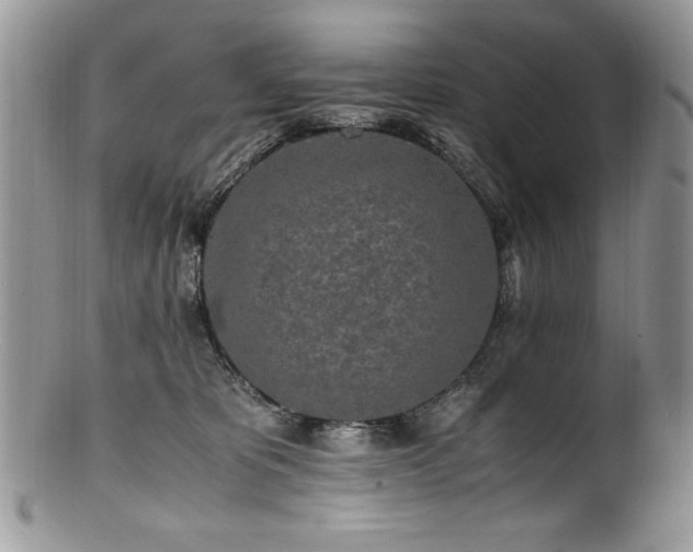 X0000100850325200806201220