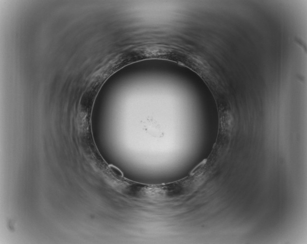 X0000100850327200806201220