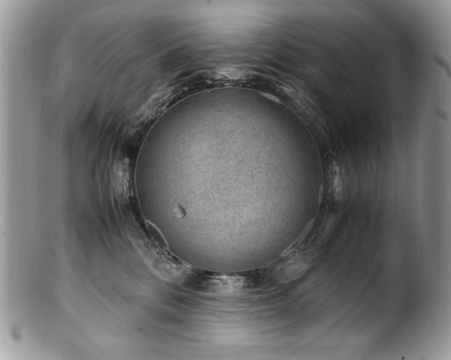 X0000100850328200806201220