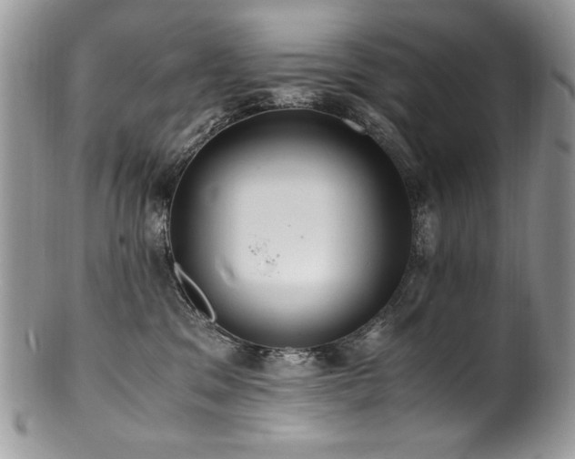 X0000100850329200806201220