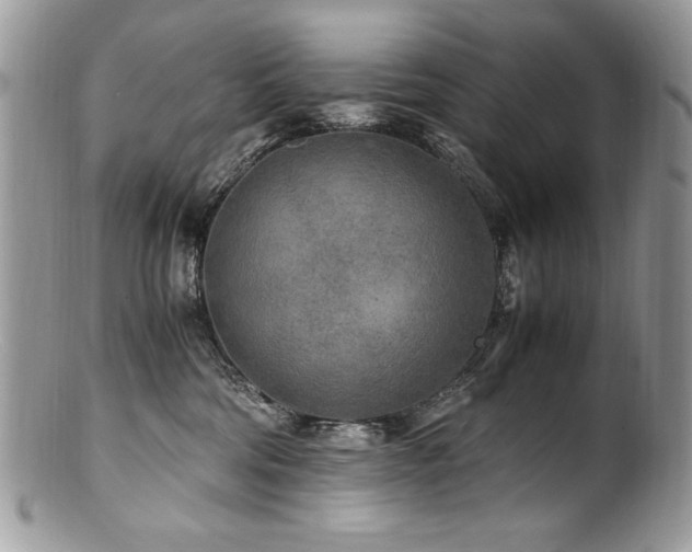 X0000100850330200806201220