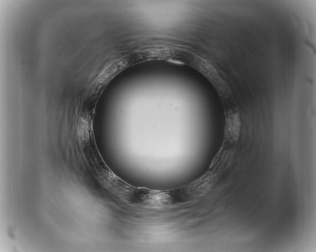 X0000100850333200806201220