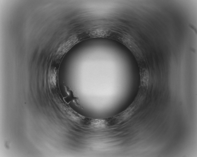 X0000100850334200806201220