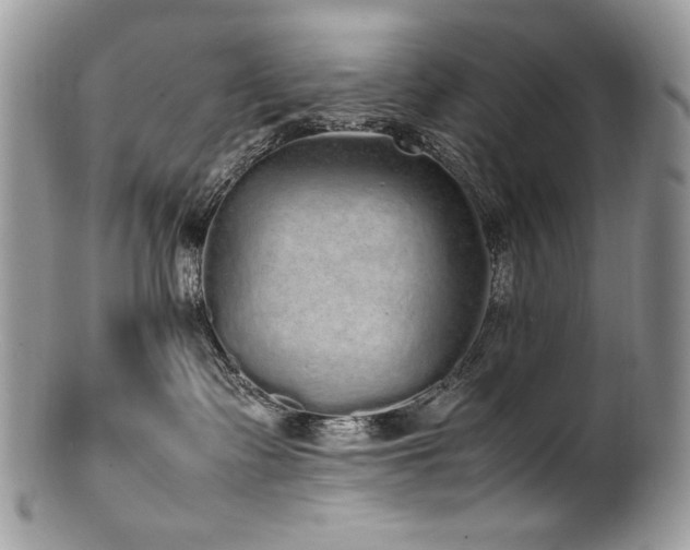 X0000100850335200806201220