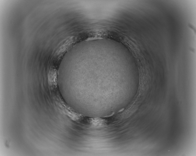 X0000100850336200806201220