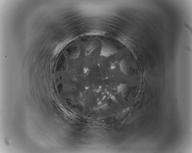 X0000100850337200806201219
