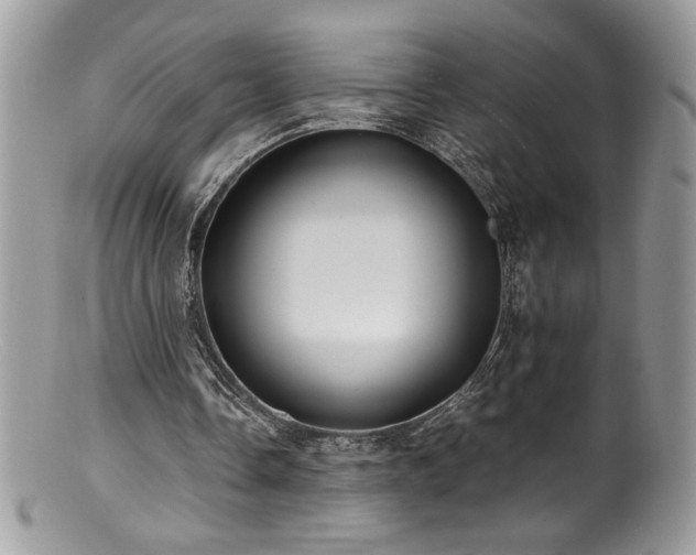 X0000100850338200806201219