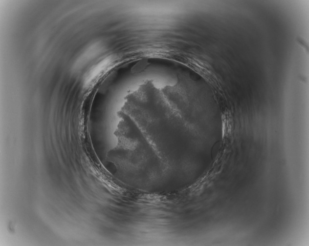 X0000100850339200806201219