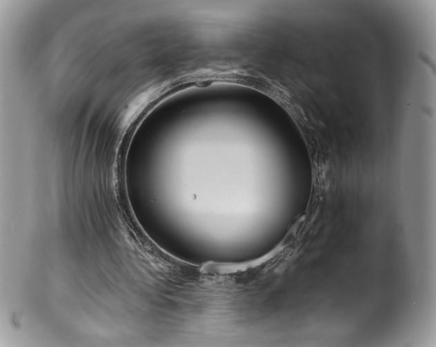 X0000100850340200806201219