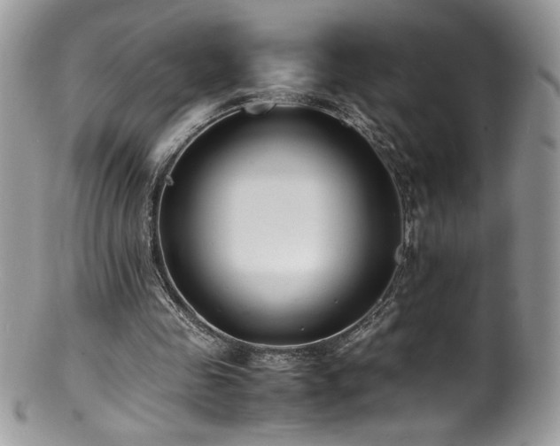 X0000100850341200806201219