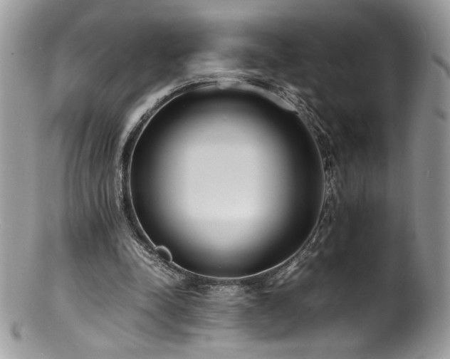 X0000100850342200806201219