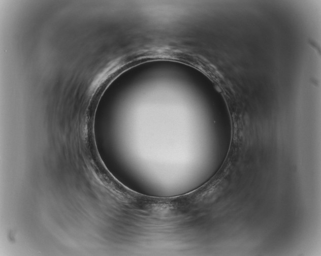 X0000100850344200806201219