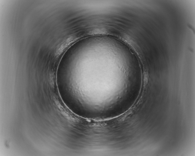 X0000100850345200806201219