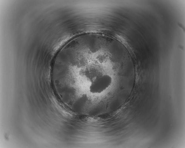 X0000100850346200806201219