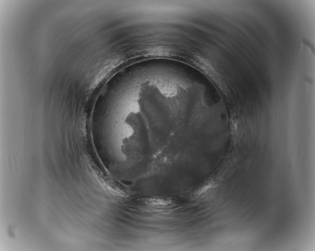 X0000100850347200806201219