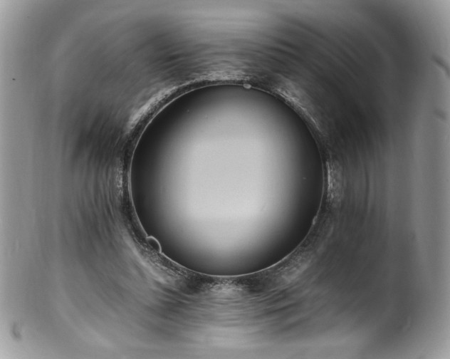 X0000100850348200806201220