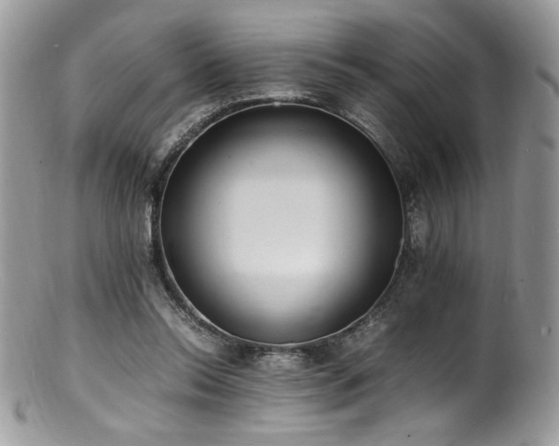 X0000100850350200806201220