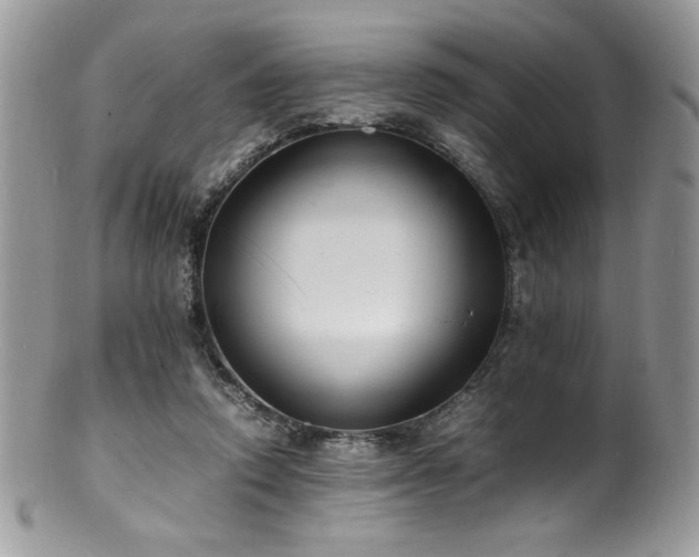 X0000100850354200806201220