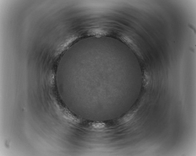 X0000100850355200806201220
