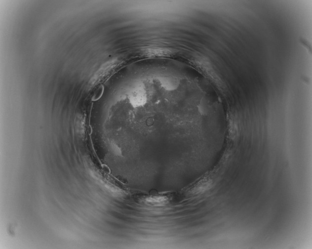 X0000100850357200806201220