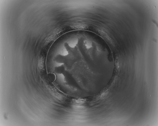 X0000100850359200806201220