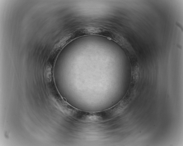 X0000100850360200806201220