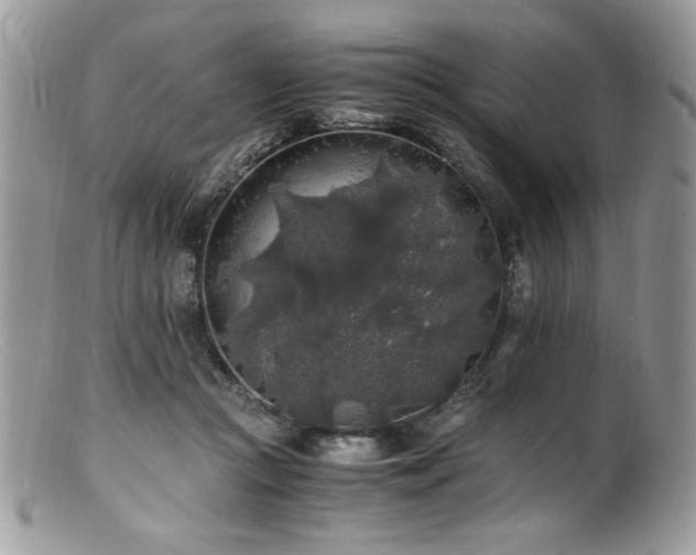 X0000100850361200806201220