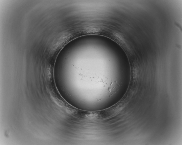 X0000100850362200806201220