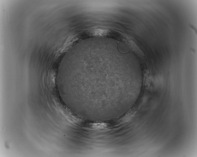 X0000100850363200806201220