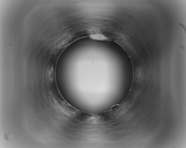 X0000100850364200806201220