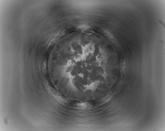 X0000100850365200806201220