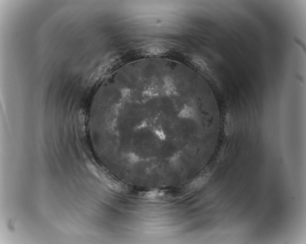 X0000100850366200806201220