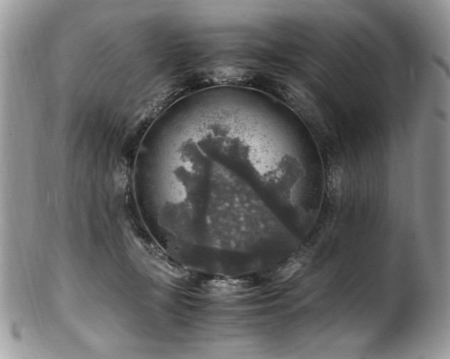 X0000100850367200806201220
