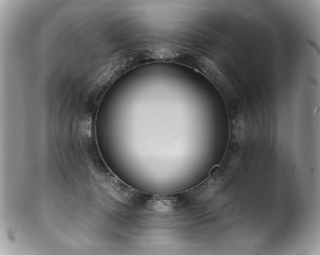 X0000100850368200806201220