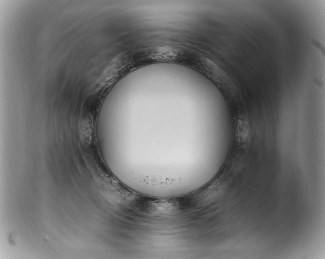 X0000100850370200806201220