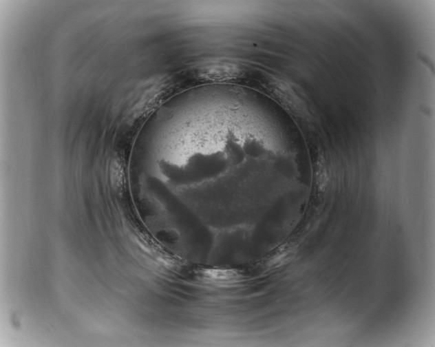X0000100850371200806201220