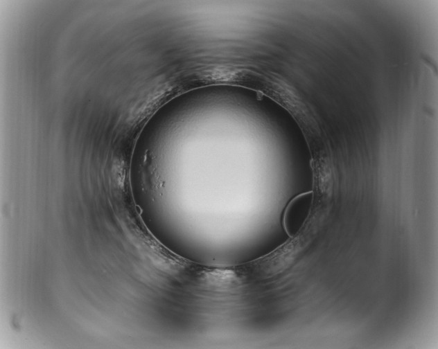 X0000100850374200806201220