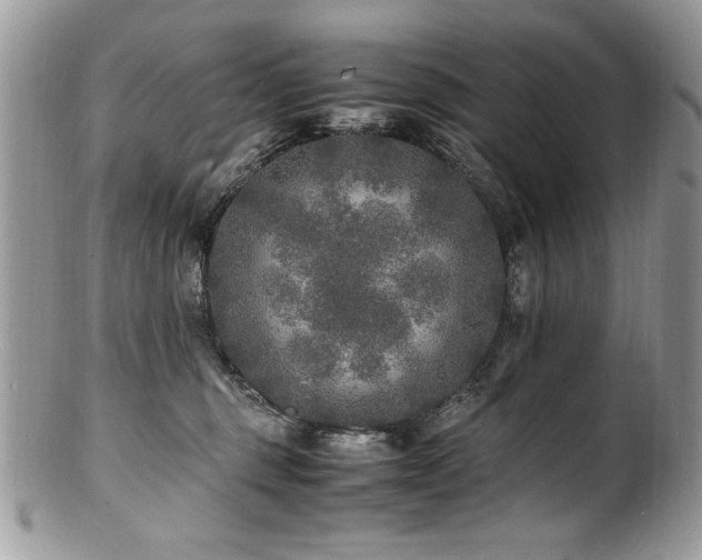 X0000100850375200806201220